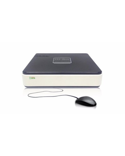 BestNVR-400. IP-видеосервер 4-канальный. BestDVR в Бийске