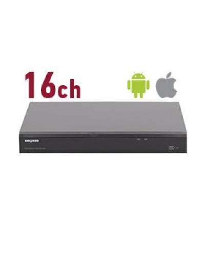 RK2216. Видеорегистратор IP 16-канальный. Beward в Бийске
