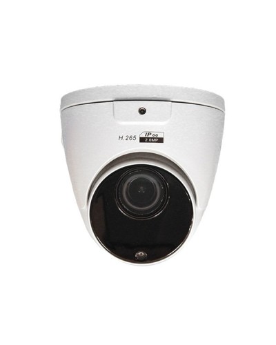 CO-RD23P. Видеокамера IP купольная. ComOnyx в Бийске