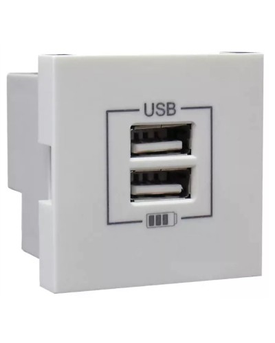 Розетка USB двойная, зарядная, белая (45439 SBR): Розетка USB двойная в Бийске