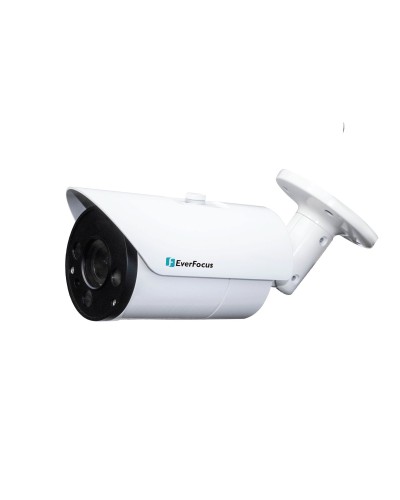 EZN-268V. Видеокамера IP купольная. EverFocus в Бийске