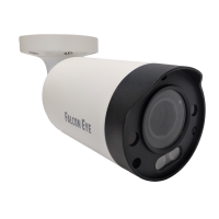 FE-IPC-BV5-50pa. Видеокамера IP цилиндрическая. Falcon EYE