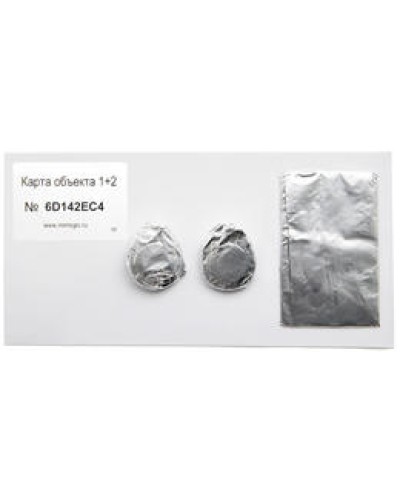 Карта объекта 1+2. Проксимити карта. IronLogic в Бийске