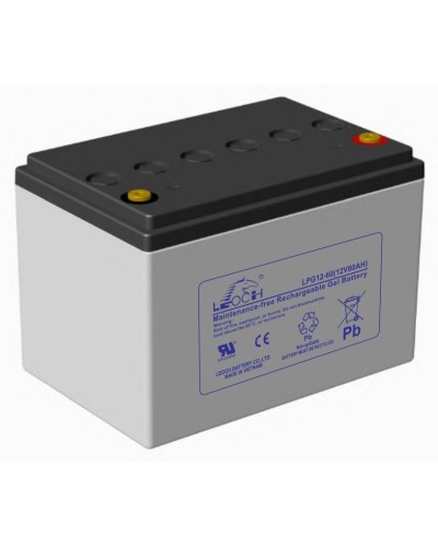 LEOCH LPG 12-60. Аккумулятор герметичный свинцово-кислотный. LEOCH в Бийске