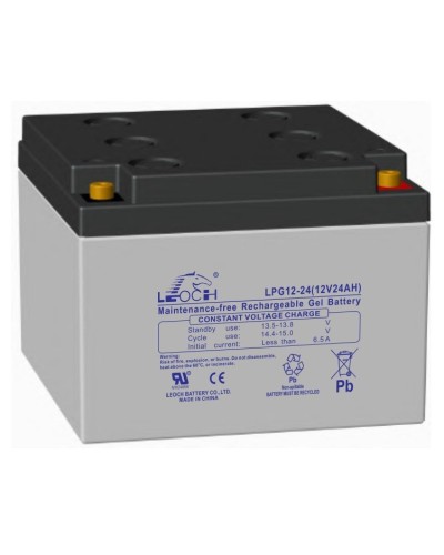 LEOCH LPG 12-24. Аккумулятор герметичный свинцово-кислотный. LEOCH в Бийске