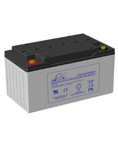 LEOCH LPG 12-65. Аккумулятор герметичный свинцово-кислотный. LEOCH в Бийске