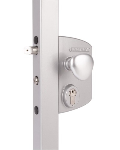 LIKQ4040 U2L (цвет: RAL 9005, черный). Замок электромеханический для калиток. Locinox в Бийске
