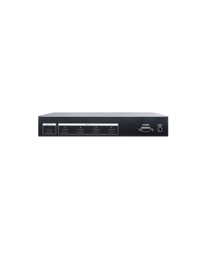 HS04-4K6G. Разветвитель. SC&T в Бийске