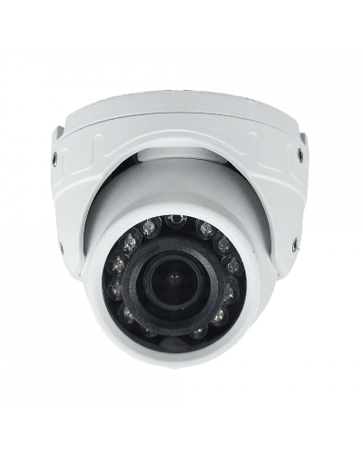 ST-S4501 (2.8) (белый). Профессиональная видеокамера IP купольная. Space Technology в Бийске