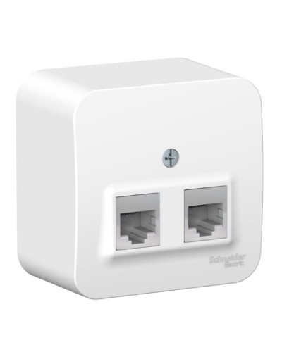 BLANCA розетка RJ11+RJ45, 2-местная, кат. 5Е, открытой установки, белый (BLNIA045111). Розетка компьютерная + телефонная с изолированной пластиной. Systeme Electric в Бийске