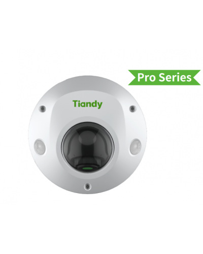 TC-C35PS I3/E/Y/M/H/2.8/V4.2. Видеокамера IP купольная. Tiandy в Бийске