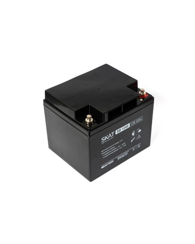 SKAT SB 1240 (2538). Аккумулятор герметичный свинцово-кислотный. Бастион в Бийске