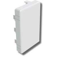 Заглушка 120х80 LAN (00878): Заглушка для короба
