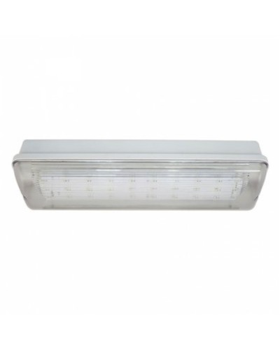 SL-213-30LED1.8 исп.1 IP54. Светильник аварийного освещения. ИП Раченков А.В. в Бийске