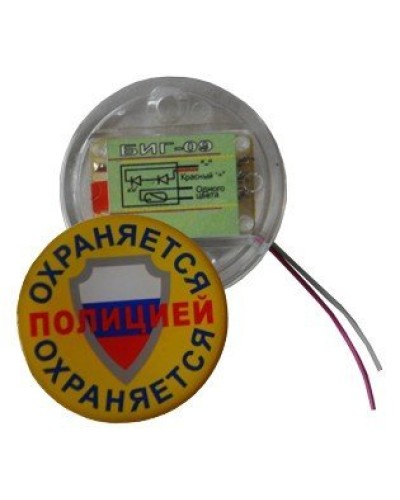 БИГ-09 н.р.. Индикатор прибытия наряда. ПЭАП (Альфатех-Центр) в Бийске