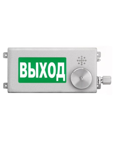 ТСВ-Exm-Н-Прометей-МИНИ 220В ВЫХОД. Оповещатель охранно-пожарный световой взрывозащищенный (табло). Спектрон НПО в Бийске