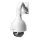 Болид в Бийске