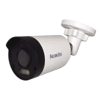 FE-IPC-B5-30pa. Видеокамера IP цилиндрическая. Falcon EYE