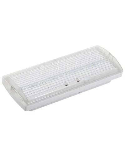 Светильник аварийный ДПА 5030-1 1ч IP20 LIGHTING (LDPA0-5030-1H-K01). Светильник аварийный постоянного действия. IEK в Бийске