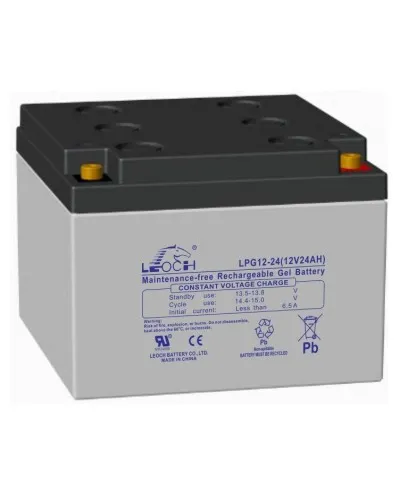 LEOCH LPG 12-24. Аккумулятор герметичный свинцово-кислотный. LEOCH в Бийске