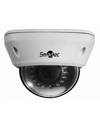 STC-IPM5591/1. Видеокамера IP купольная. Smartec в Бийске