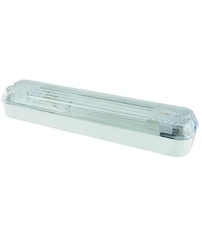 ДПБ 01-2х6-001 12 Вт, LED, 1000 лм, 4000 К, IP40. Светильник вандалоустойчивый . TDM ЕLECTRIC в Бийске
