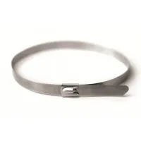 Хомут из нержавеющей стали AISI 304 4,6х175 (50 шт) (27404): Хомут из нержавеющей стали