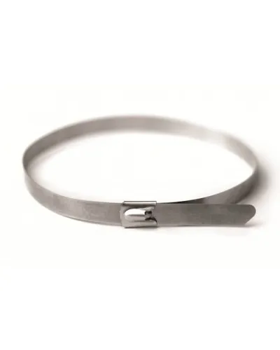 Хомут из нержавеющей стали AISI 316 8х350 (30 шт) (27613): Хомут из нержавеющей стали в Бийске