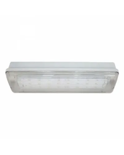 SL-223-30LED1.8 исп.1 IP54. Светильник аварийного освещения. ИП Раченков А.В. в Бийске
